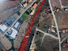 YALOVA TERMAL AKKÖY'DE 13197 M2 İMAR YAKINI TARLA