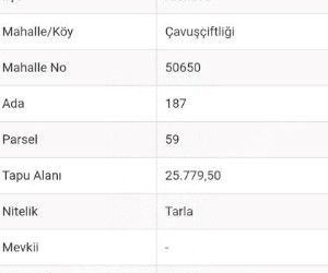YALOVA ALTINOVA SATILIK ARAZİLER