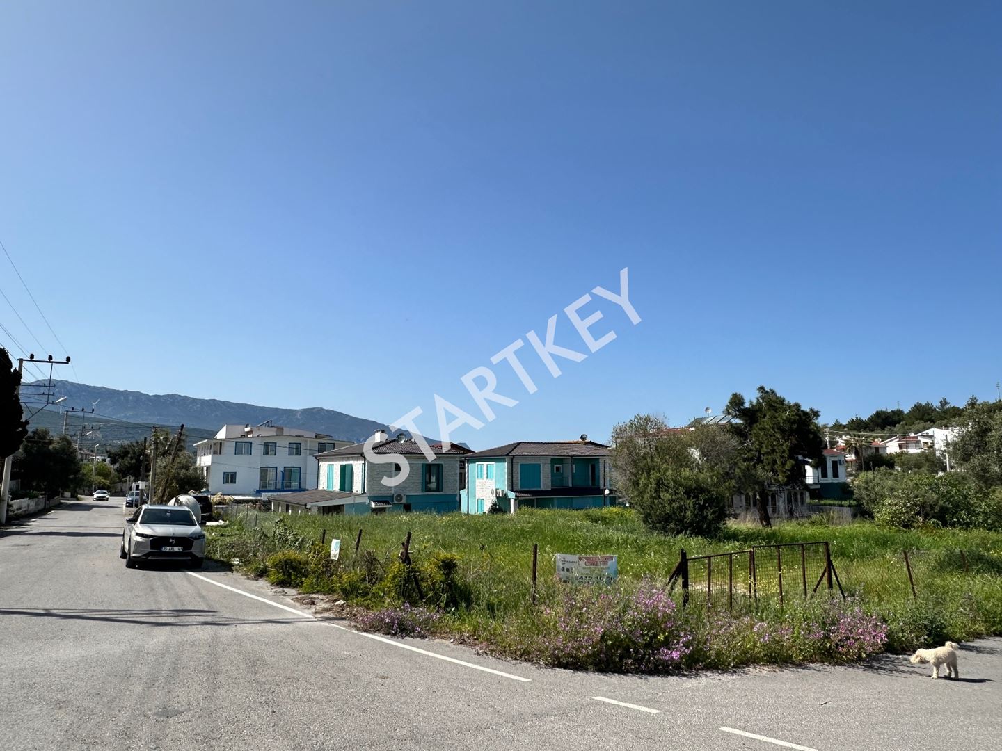 Property-photo