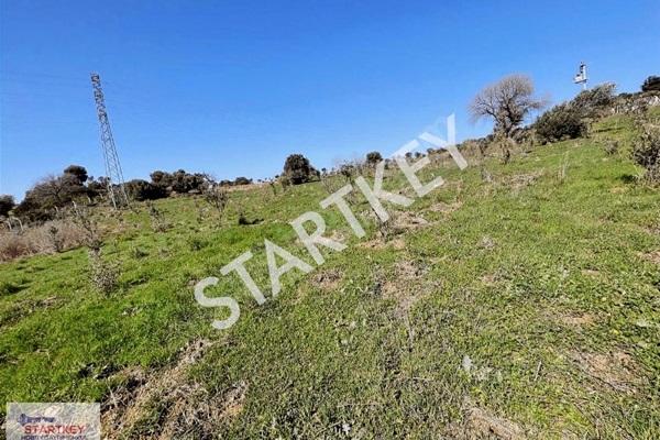 Property-photo