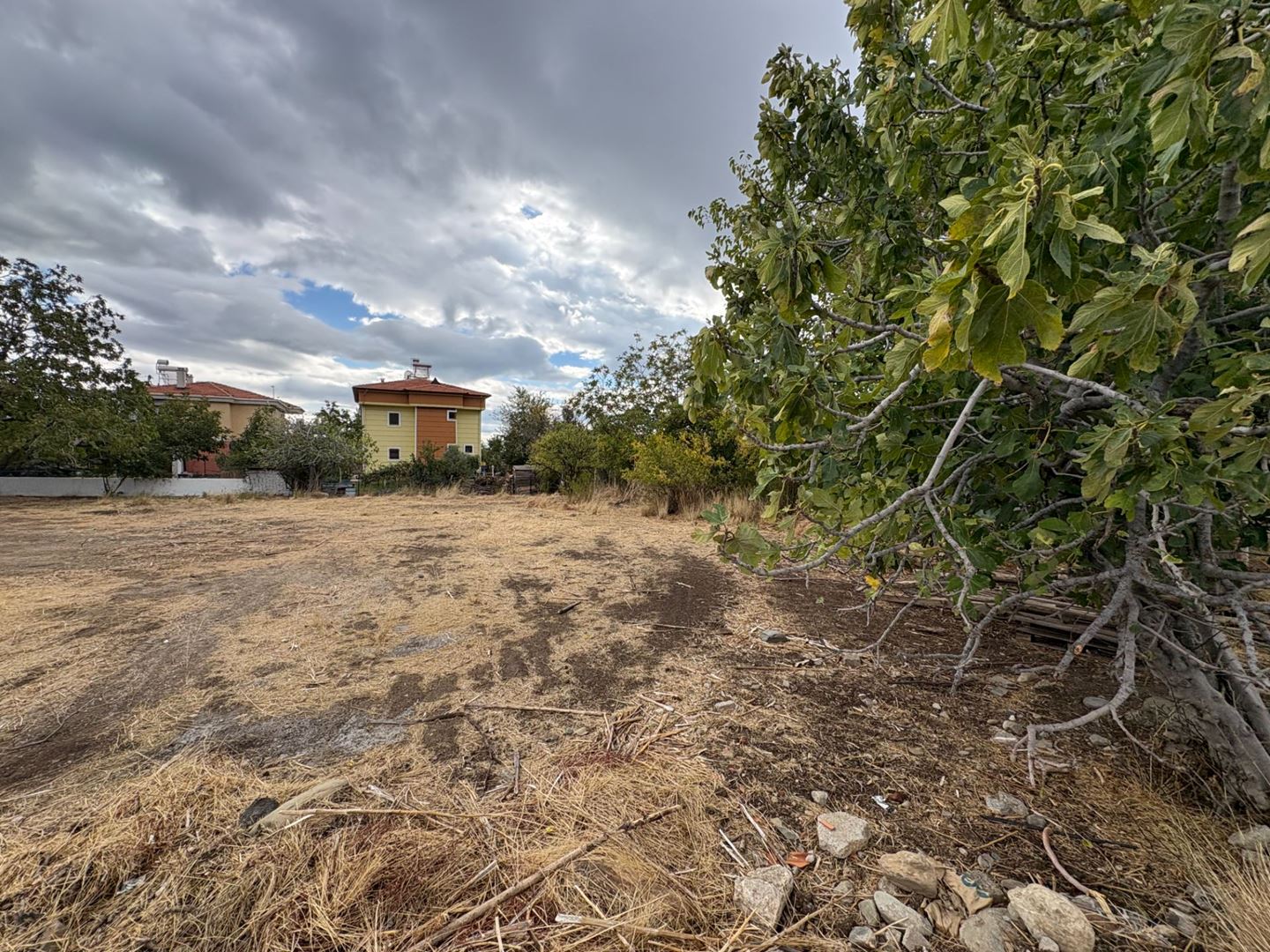 Property-photo