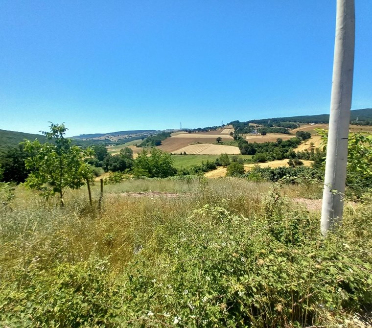 YOLA CEPHELİ VE ULAŞIMI KOLAY 13.151 M² KAZANÇLI YATIRIM