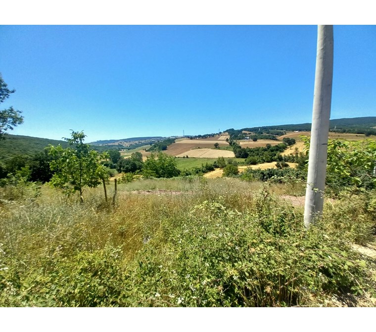 YOLA CEPHELİ VE ULAŞIMI KOLAY 13.151 M² KAZANÇLI YATIRIM
