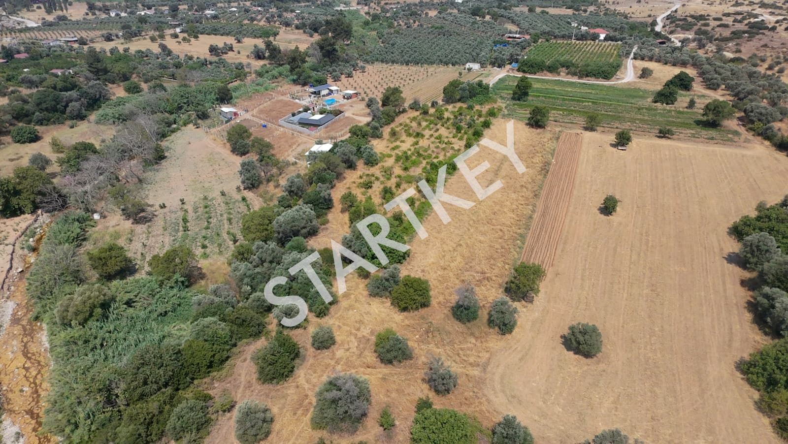 Property-photo