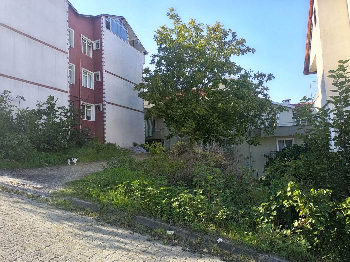 Property-photo