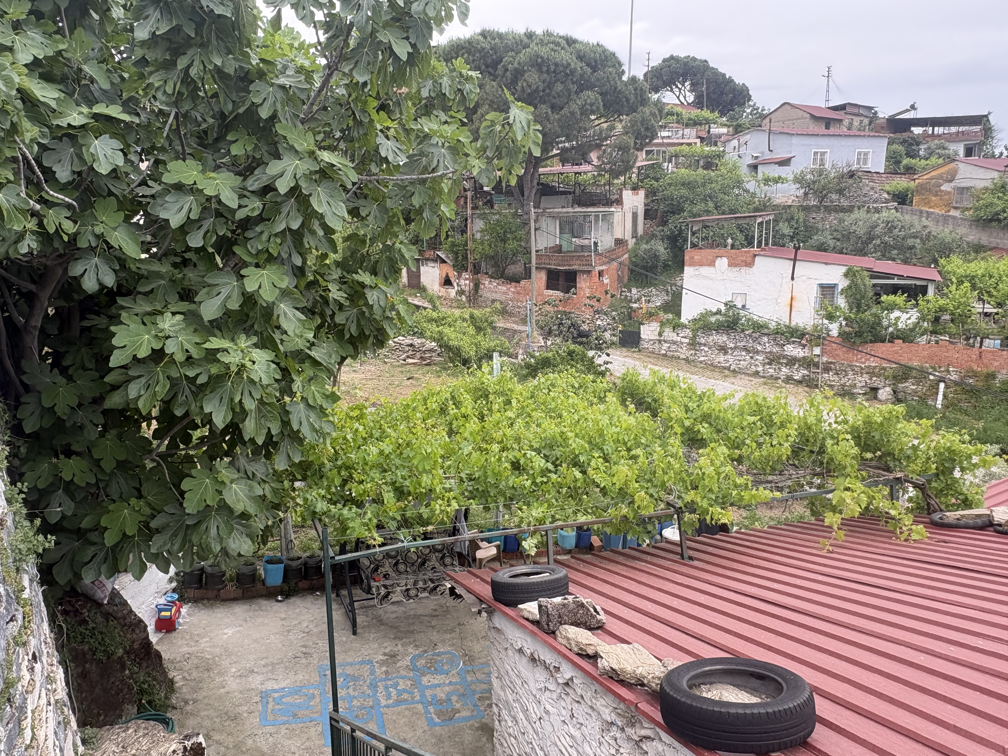 Property-photo