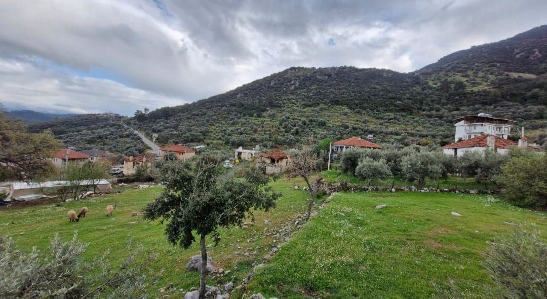 Property-photo