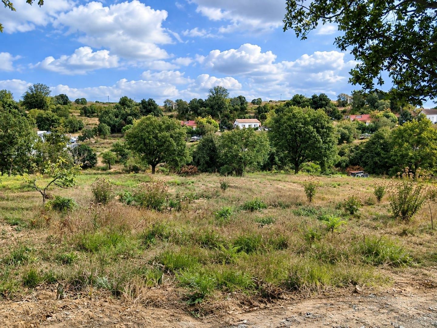 Property-photo