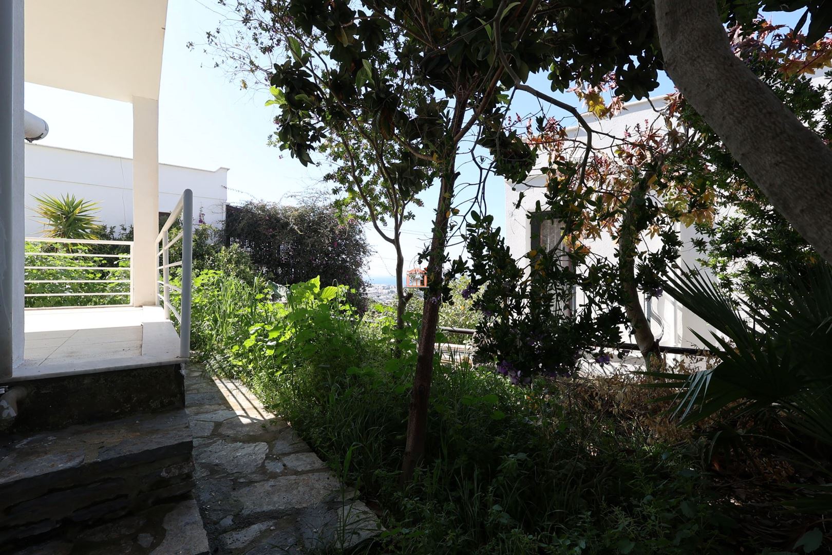 Property-photo