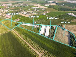 TARSUS ÖZBEK KÖYÜ 70.000 KAPASİTELİ TAVUK ÇİFTLİĞİ VE BAHÇESİ
