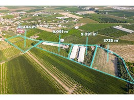 TARSUS ÖZBEK KÖYÜ 70.000 KAPASİTELİ TAVUK ÇİFTLİĞİ VE BAHÇESİ