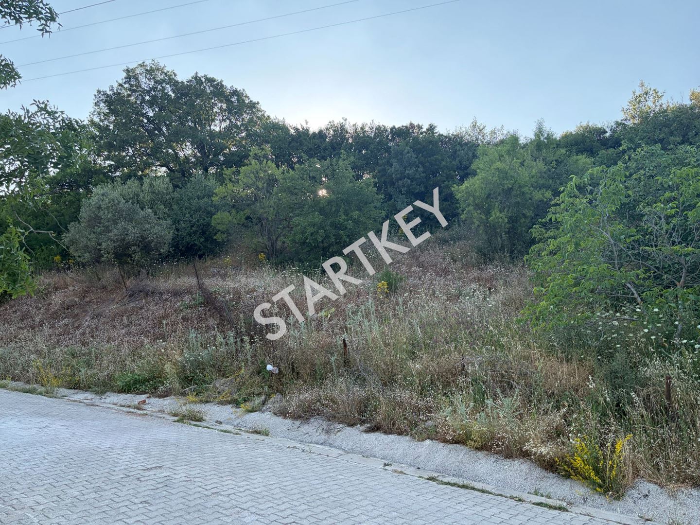 Property-photo