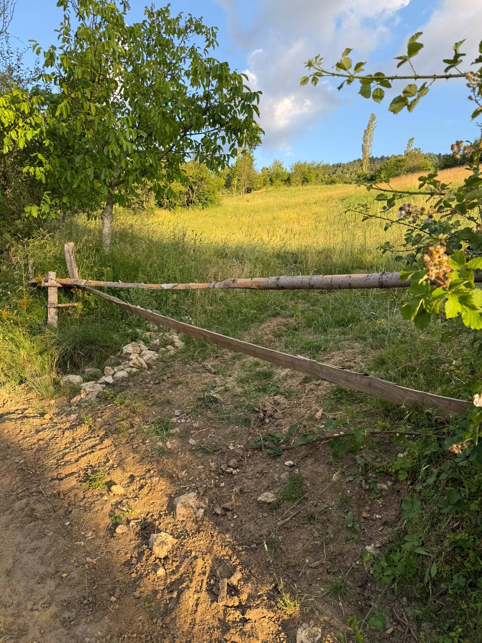 Property-photo
