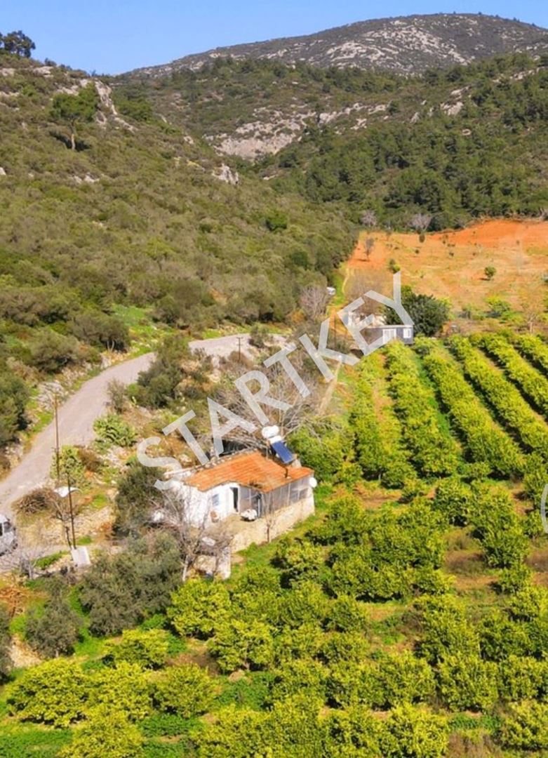 Property-photo