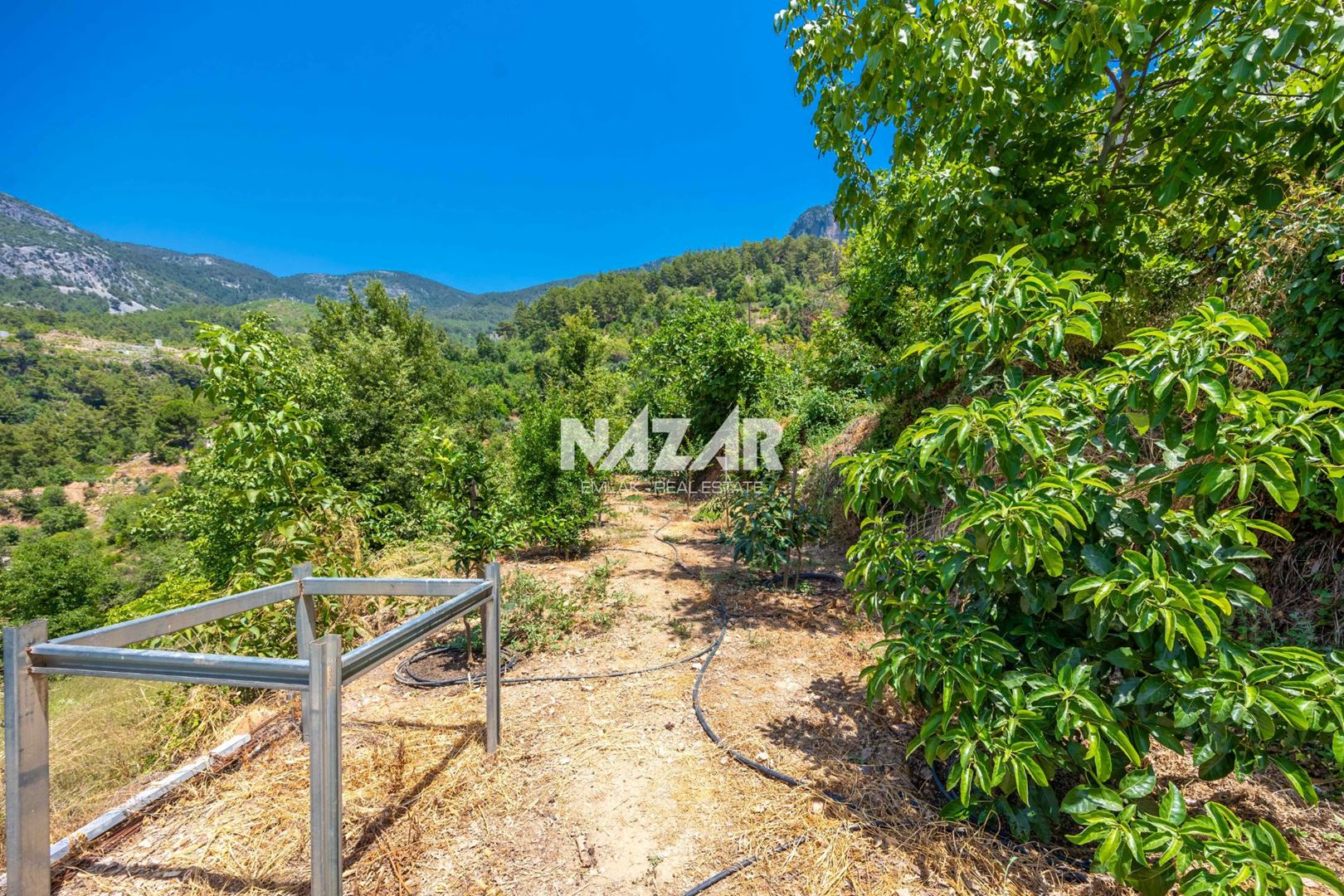 Property-photo