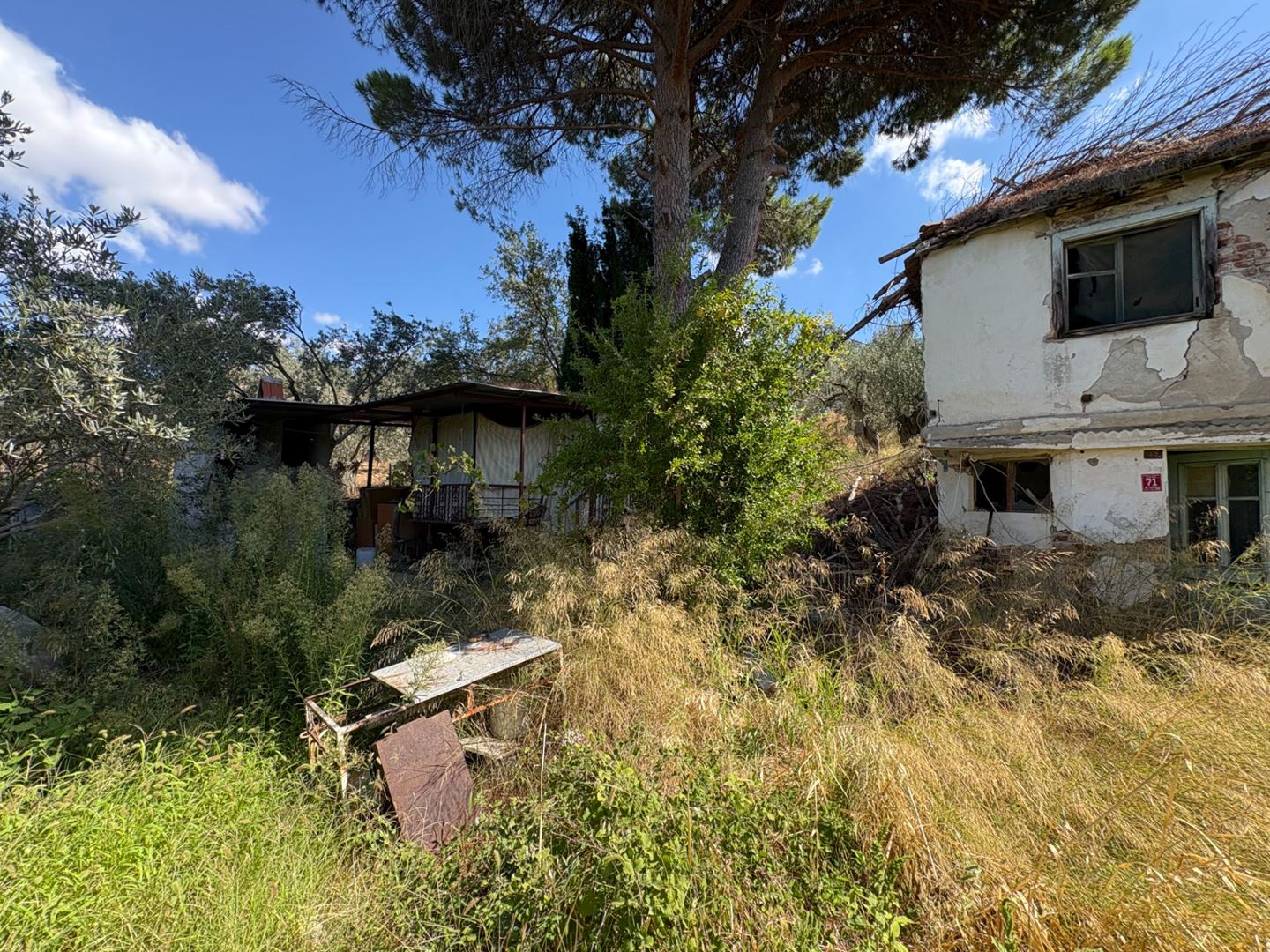 Property-photo