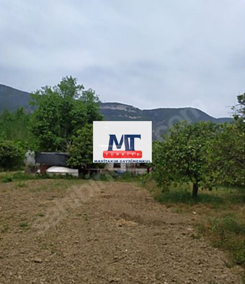 Property-photo