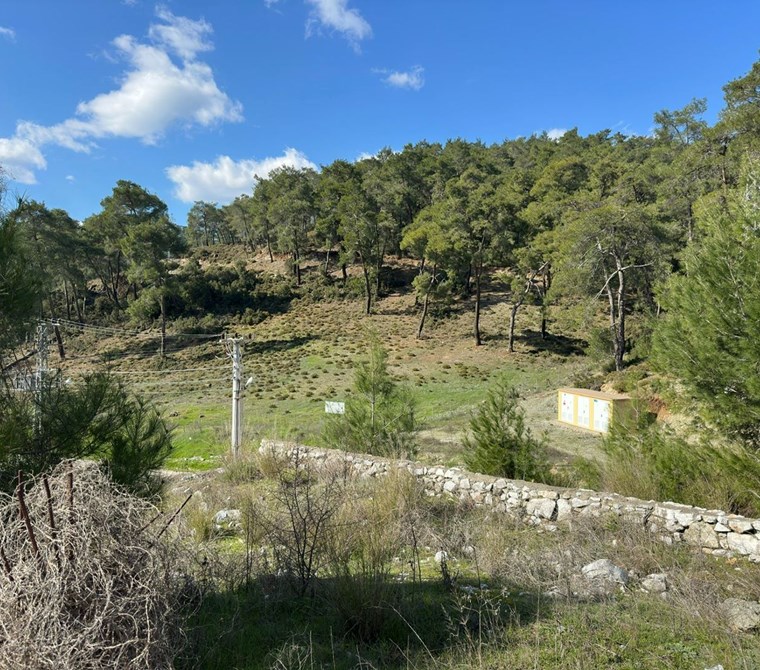 Muğla Sarayyanı 25/50 imarlı arsa 10 adet 1+1 için uygun
