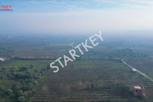 Property-photo