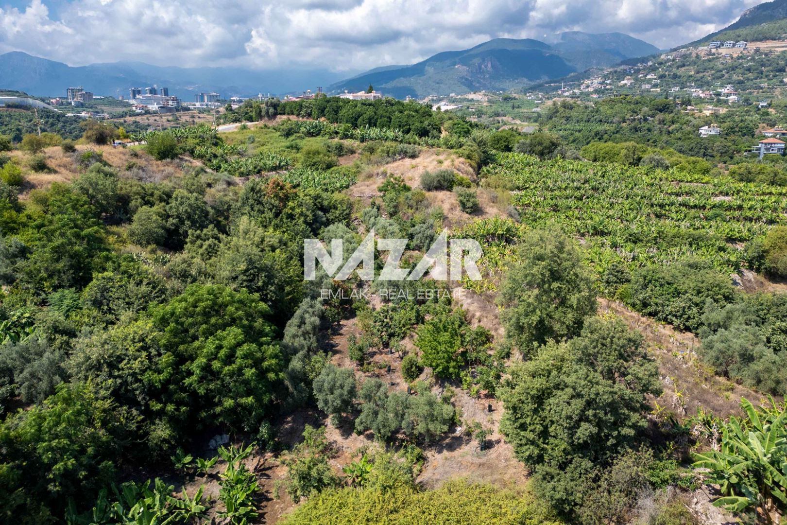 Property-photo