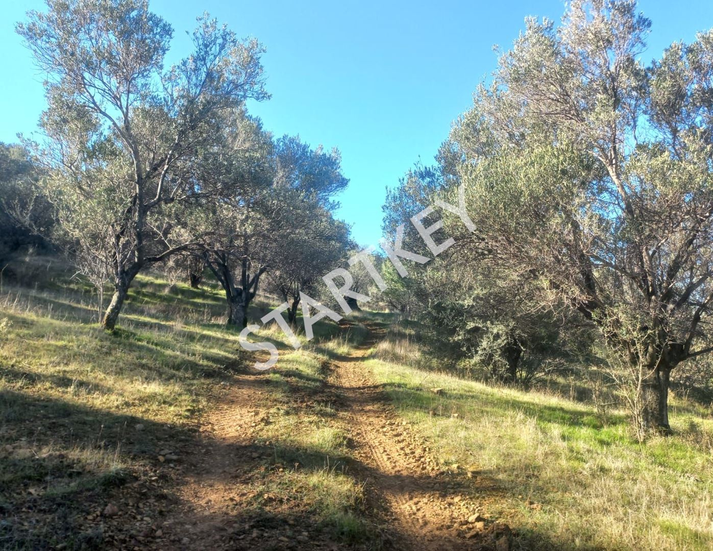 Property-photo