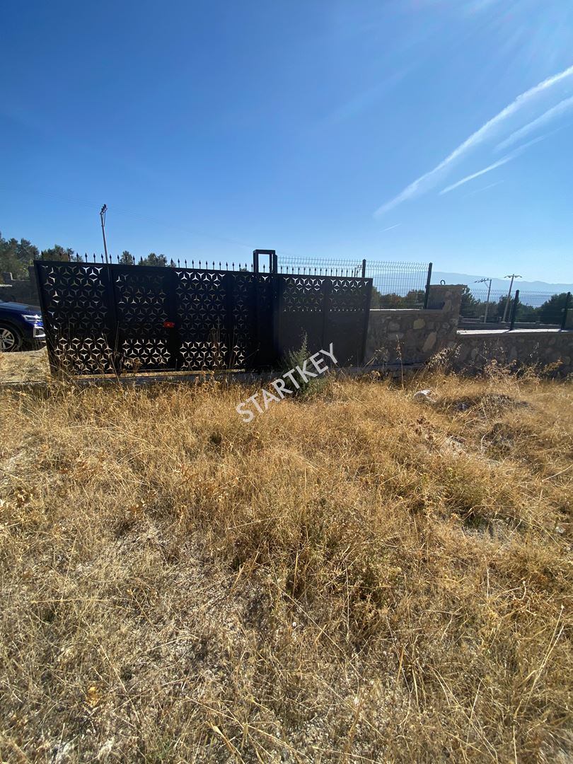 Property-photo