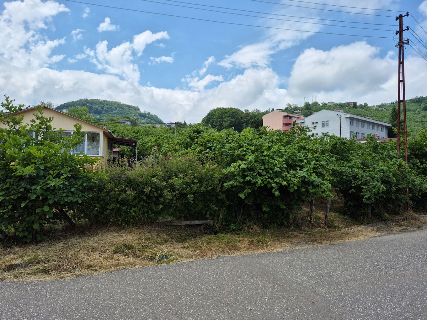 Property-photo