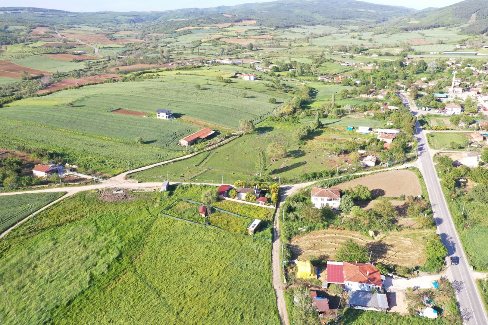 Property-photo