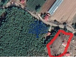 Seydikemer, Çobanlar 3730m² field and stone house for sale