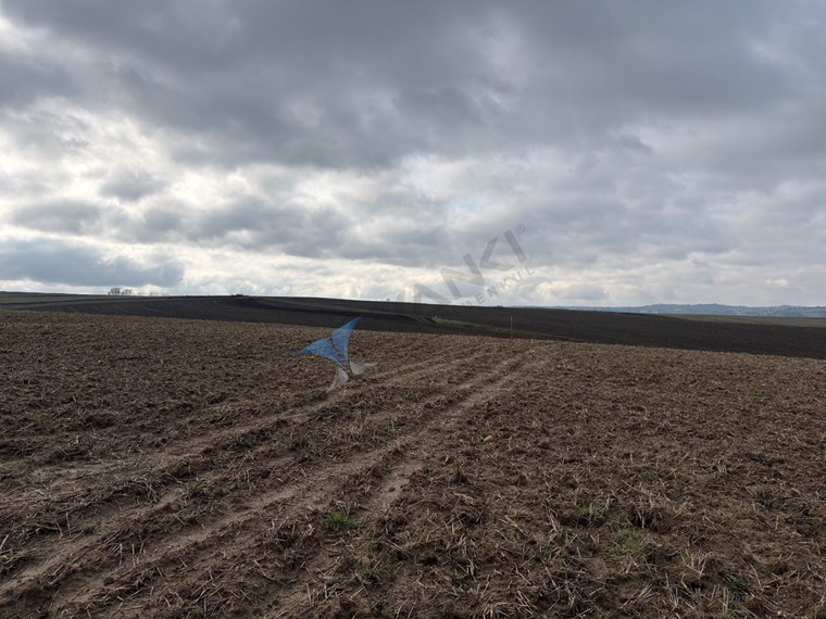 TEKIRDAĞ SÜLEYMANPAŞA OSMANLI KÖYÜ’NDE 89.240 M² SATILIK TARLA