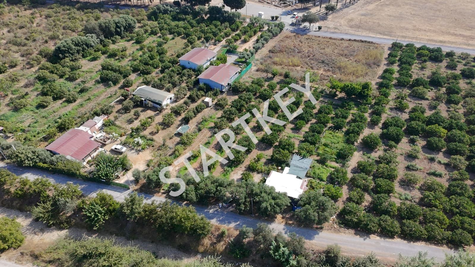 Property-photo