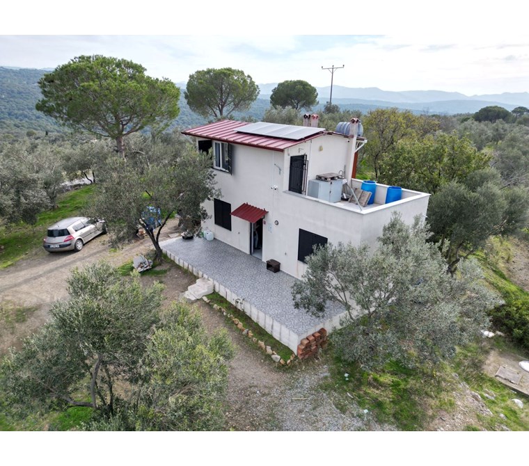 ALTIN EMLAKTAN BAĞYÜZÜNDE 4024 M2 ZEYTİNLİK İÇİNDE MÜSTAKİL EV