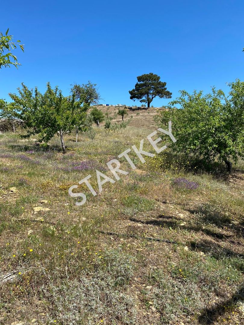 Property-photo