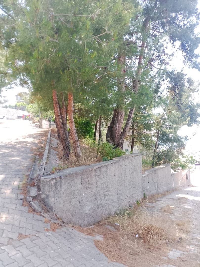 Property-photo