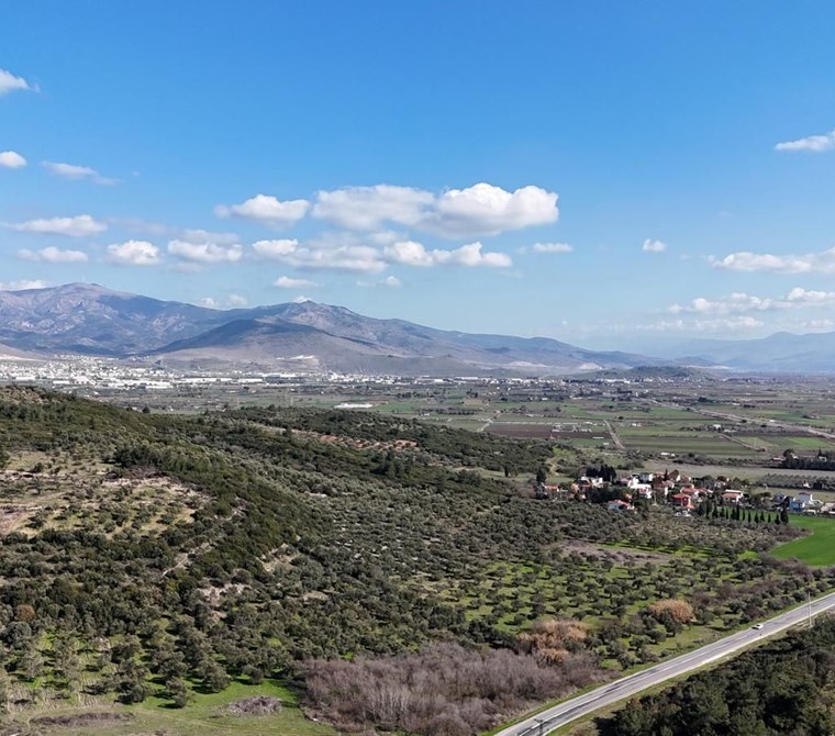 Foça ılıpınar da satılık müstakil parsel arazi