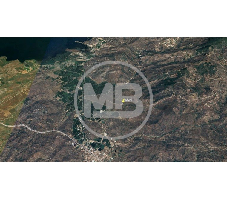 MUĞLA MİLAS BAFA DA KÖYE YAKIN KONUMDA 1757 M2 ZEYTİNLİK