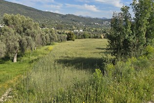 Bodrum Mumcular' da Satılık 4976 m2 Ana ...