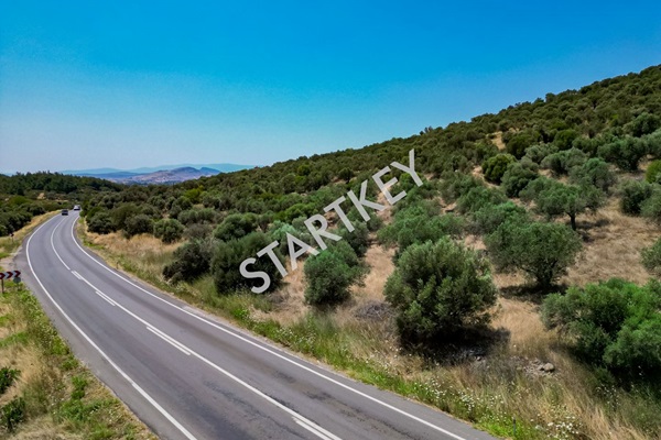 Property-photo