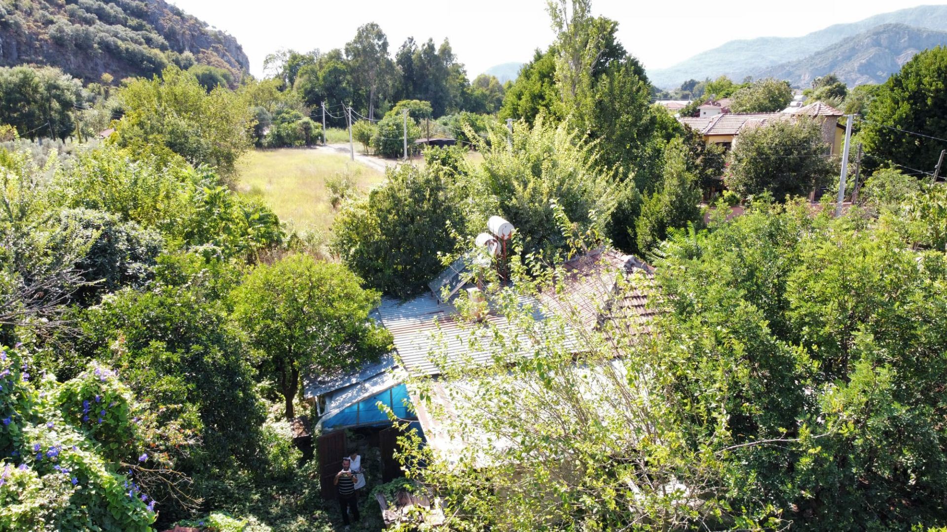 Property-photo