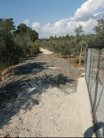 Property-photo