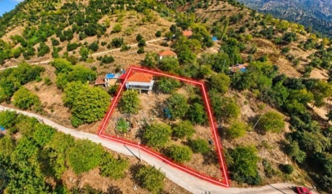 Property-photo
