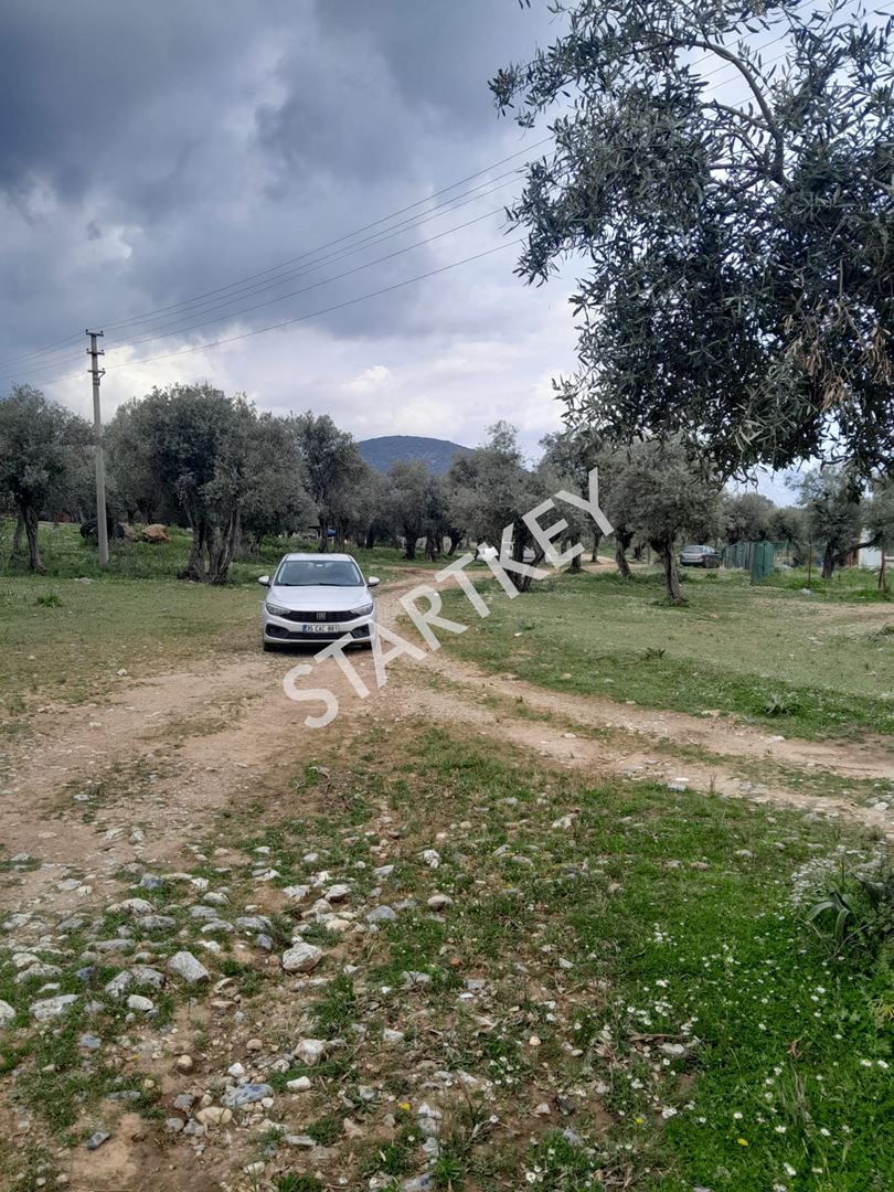 Property-photo