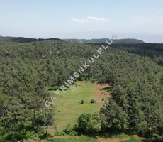 GAYRİMENKULPLUS / MUĞLA AKYAKAYA 20 DK MESEFADE FIRSAT ARAZİ