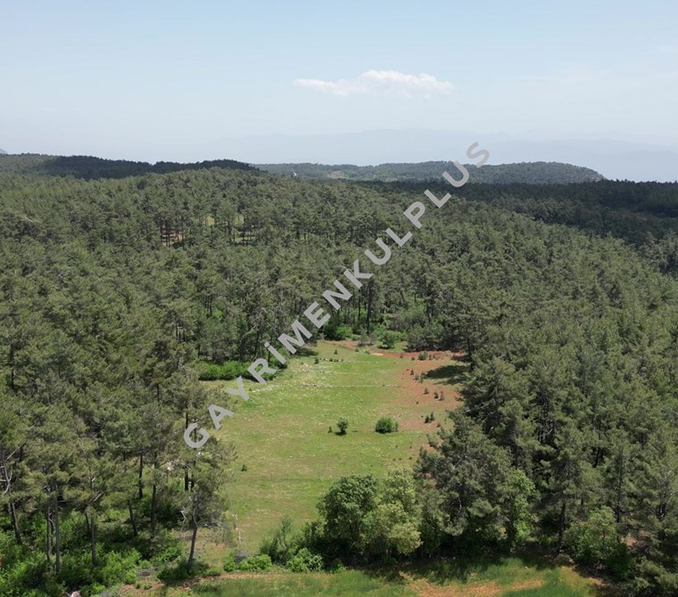 GAYRİMENKULPLUS / MUĞLA AKYAKAYA 20 DK MESEFADE FIRSAT ARAZİ