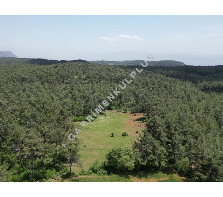 GAYRİMENKULPLUS / MUĞLA AKYAKAYA 20 DK MESEFADE FIRSAT ARAZİ