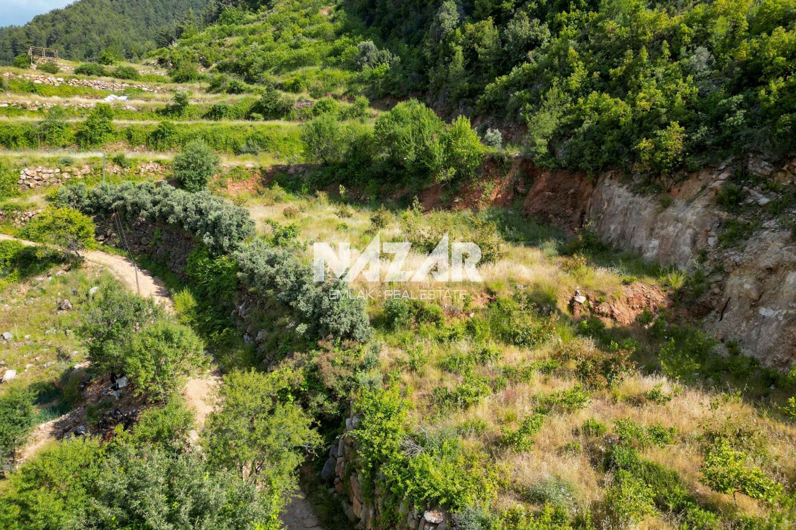 Property-photo