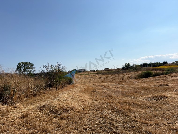 Tekirdağ Atatürk'te Satılık 750 m² İmarlı Arsa
