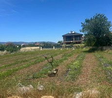 Muğla Ortaca Okçular'da Satılık 506m² İmarlı Arsa