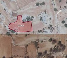 MÜJGAN EMLAKTAN MARMARİS TAŞLICA KÖYÜNDE SATILIK 957 M2 TARLA