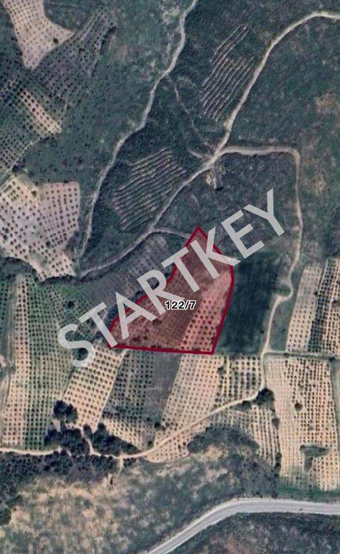 Property-photo